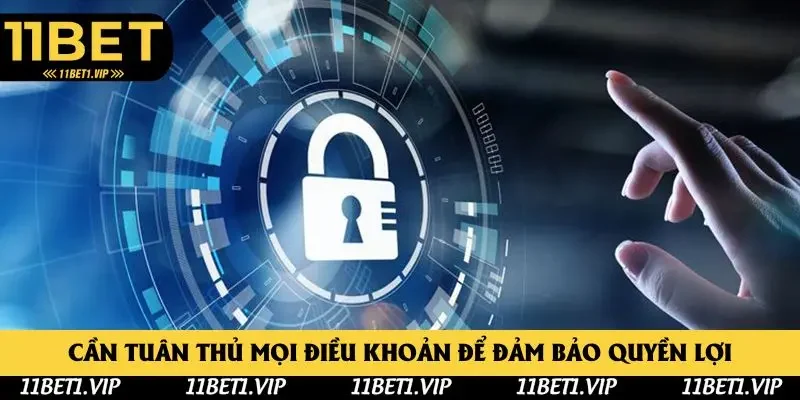 Cần tuân thủ mọi điều khoản để đảm bảo quyền lợi