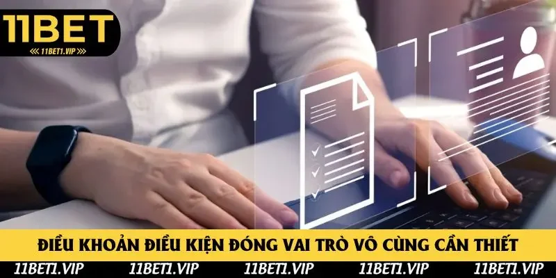 Điều khoản điều kiện đóng vai trò vô cùng cần thiết Điều khoản điều kiện đóng vai trò vô cùng cần thiết